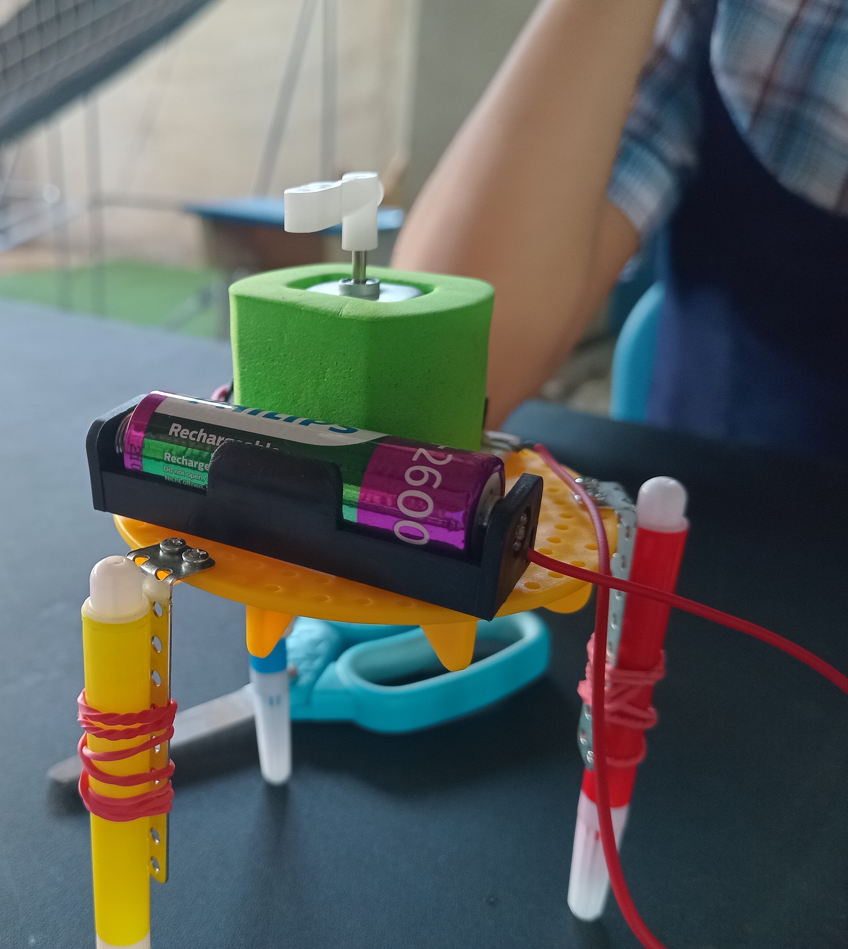 Student presenting a science fair project to a judge